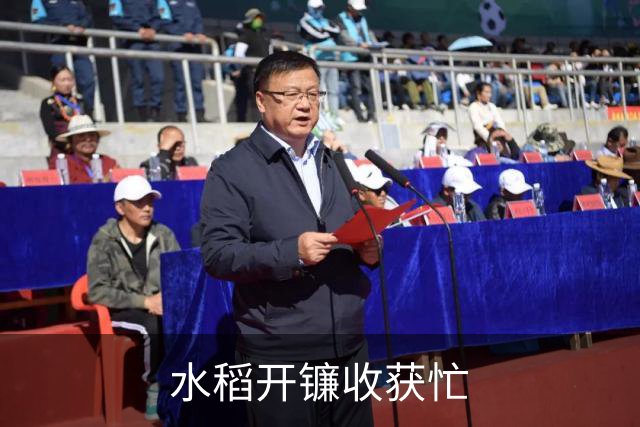 水稻开镰收获忙